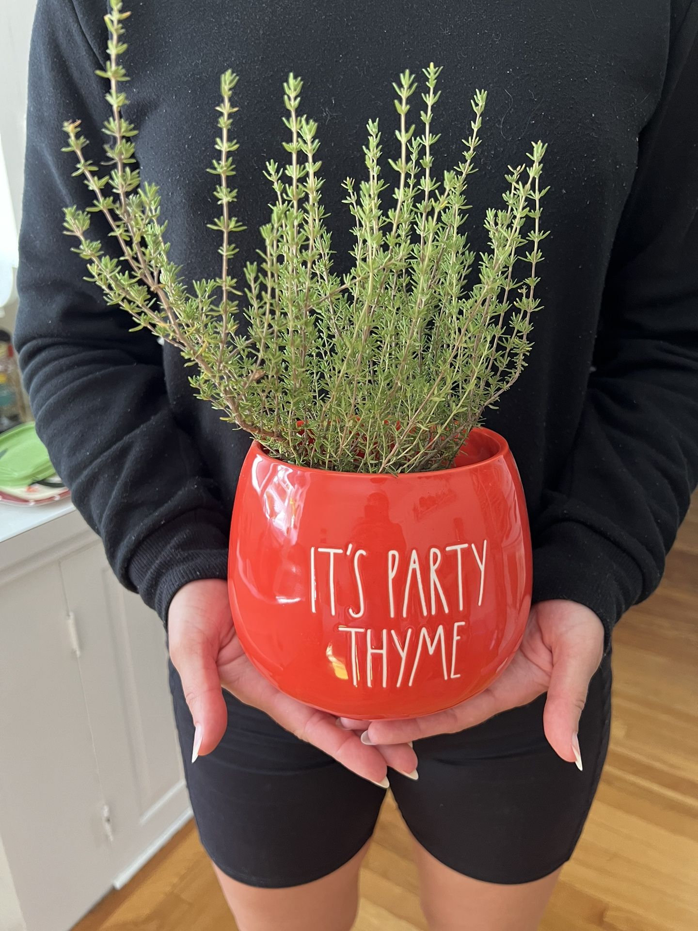 Rae Dunn Thyme Planter