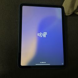 iPad
