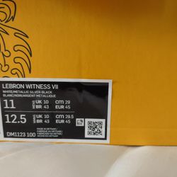 Nike Lebron Witness VII 