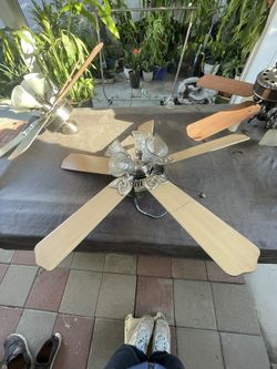fan