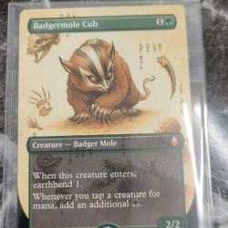 Badgermole Cub