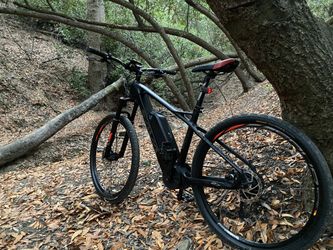 SAVA Century Classic