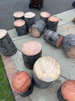 Pam tree stumps