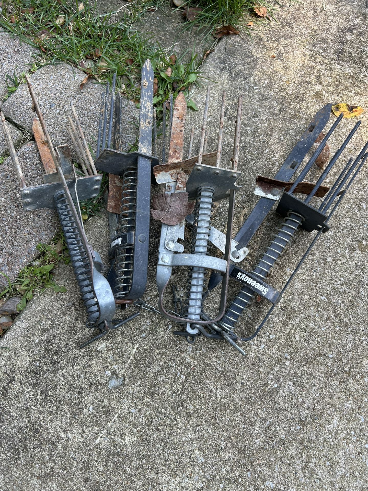 Mole Traps