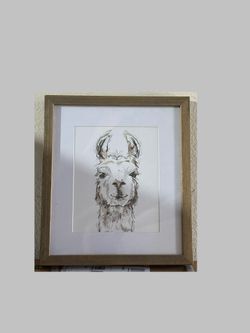 12"x10" Framed Llama Picture 