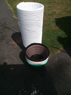 Baskets $1 Each $ 50 Cents If Buy 20 Or More