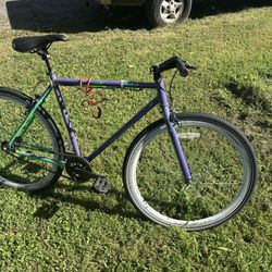 Purple Fixie Bike Single Gear 