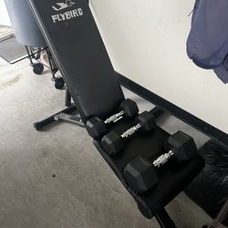 Barbell/bench/dumbells