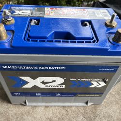 x2 power battery 