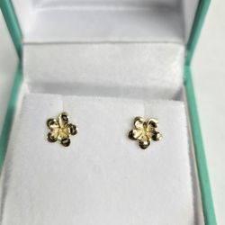 14kt Gold Plumeria Earrings