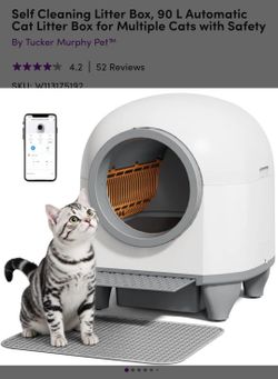 Automatic Litter Box