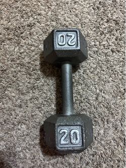 Dumbbell 20lbs (1 piece)