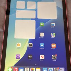 64 Gig iPad 10th Gen 