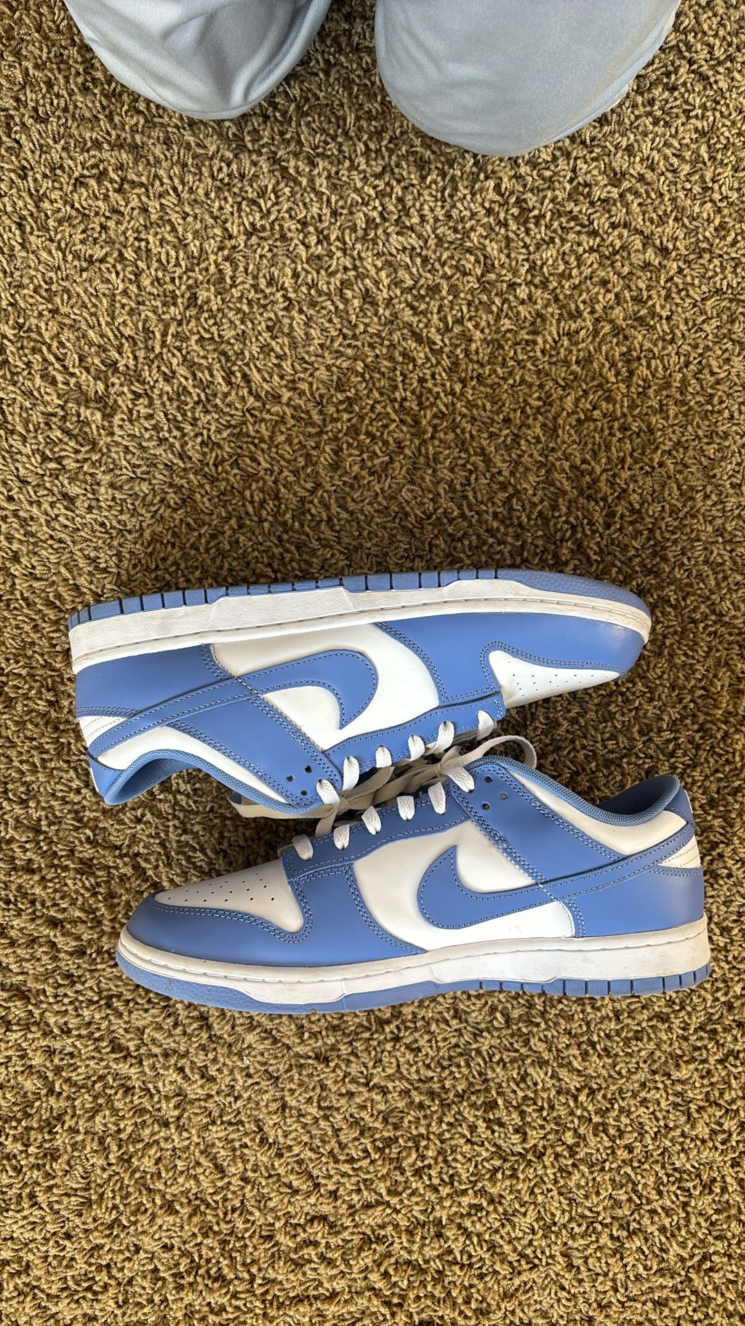Nike Dunk Polar Blue Used Size 11 M