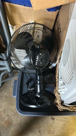 Fan
