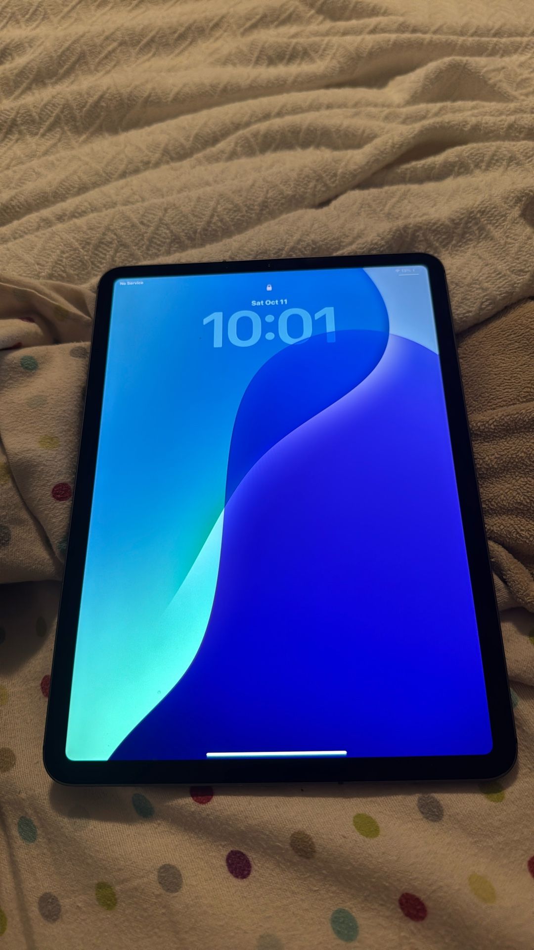 iPad Pro - 11” - Pristine Condition - Wifi & Cellular