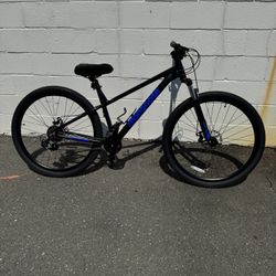 Adult Mongoose bike