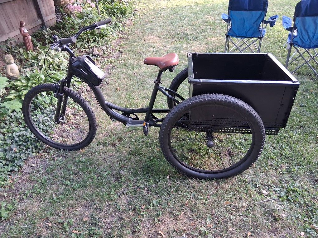 Adult Schwinn Tricycle Bicycle