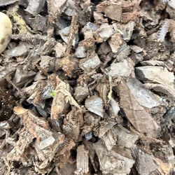 Free Bags Of Rubber Bark Mulch 