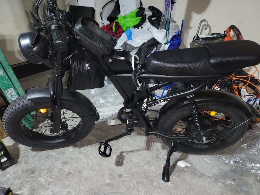 Audult Moped Style Ebike