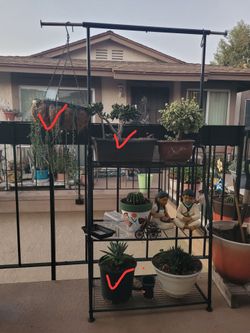Stand stand with 3   plants ✔️ if it's posted it's available.