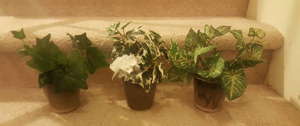 Decorative fake plants