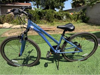 Schwinn trailway