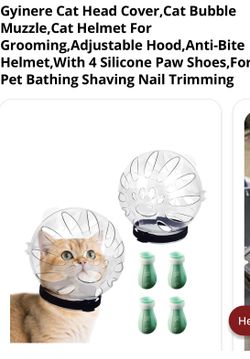 Cat helmet