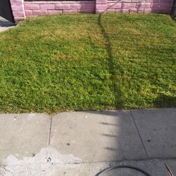 Jardinero