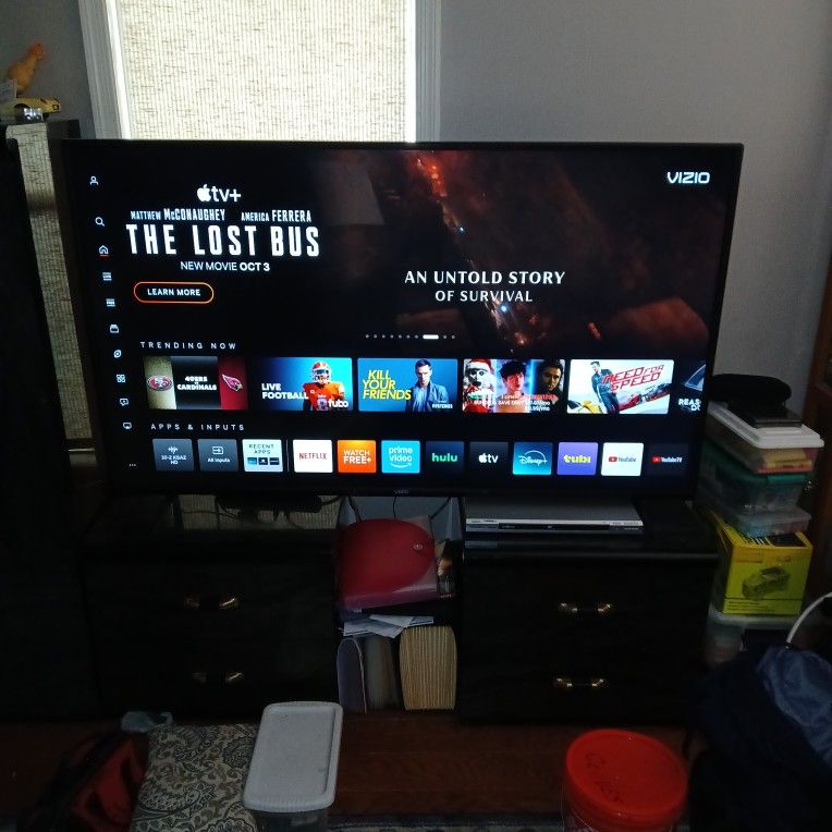 Vizio 65" Smart Tv