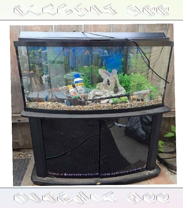 Fully-Loaded Aquarium Set - Dive into Underwater Beauty garden surface