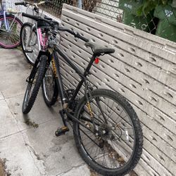 TRAIL BIKE