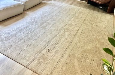 Living room area rug 8x10 excellent condition