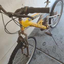 Magna 21 Speed 26"Wheels Mt Bike