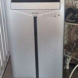 Sharp Portable Air Conditioner On Wheels