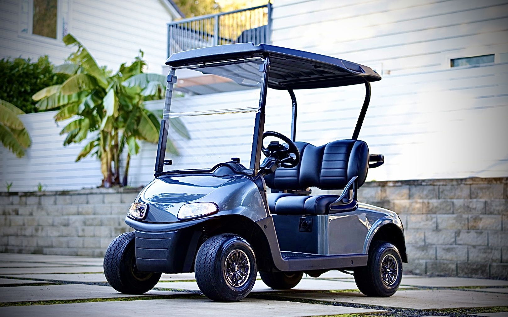 2019 🔋 LITHIUM EZGO RXV  ⛳️ Golf Cart