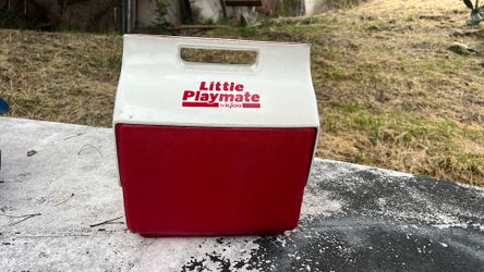 Cooler