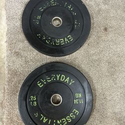 (2) 25lb Olympic Bumper Plates