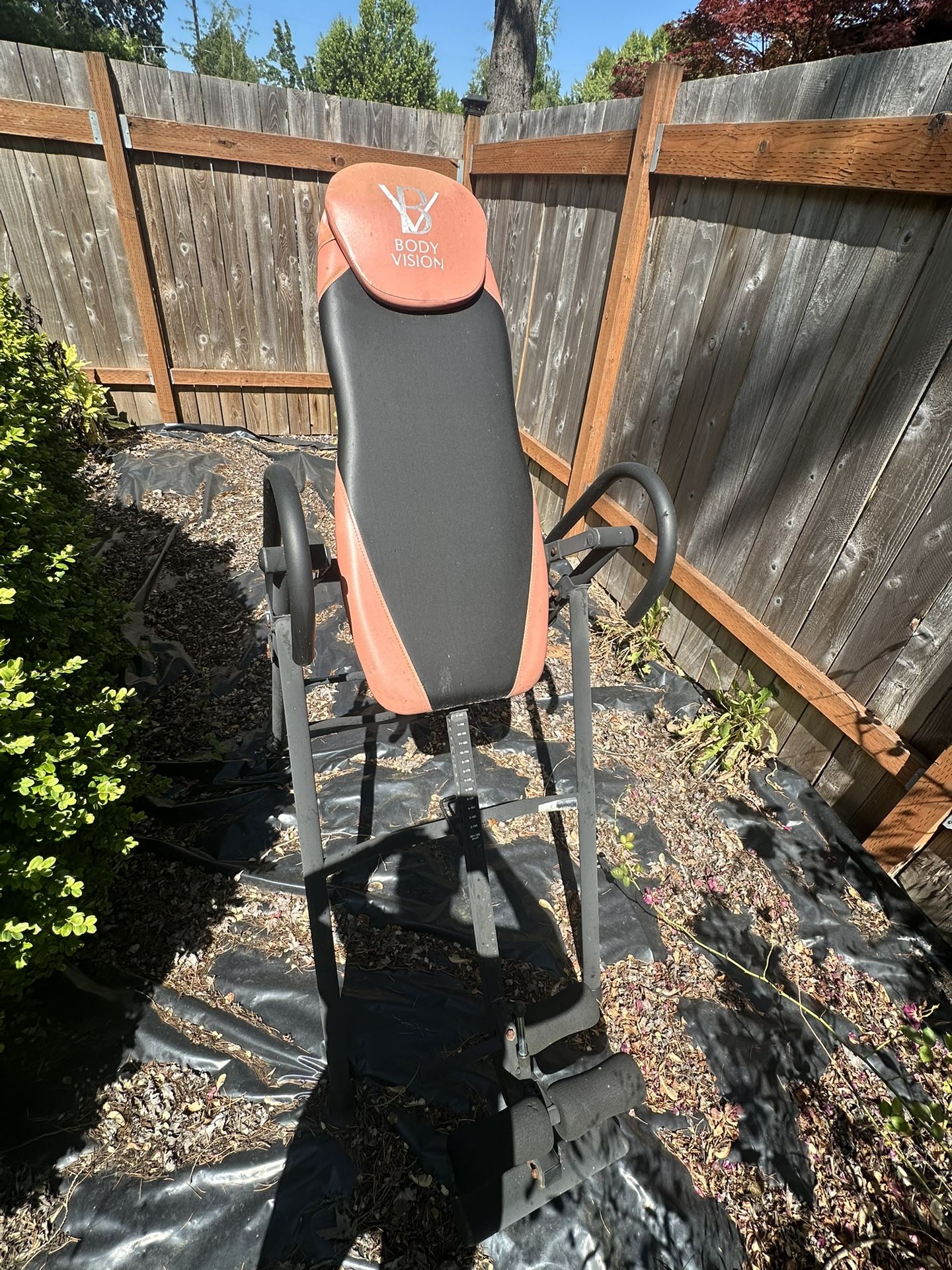 Body Vision Inversion Table