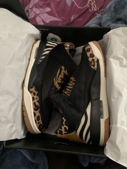 Nike Air Jordan 3 retro SE