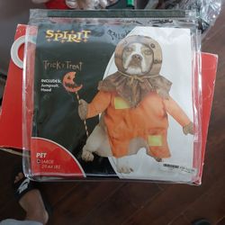 Pet Costume 