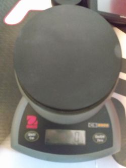 Ohaus DS digital scale offer up