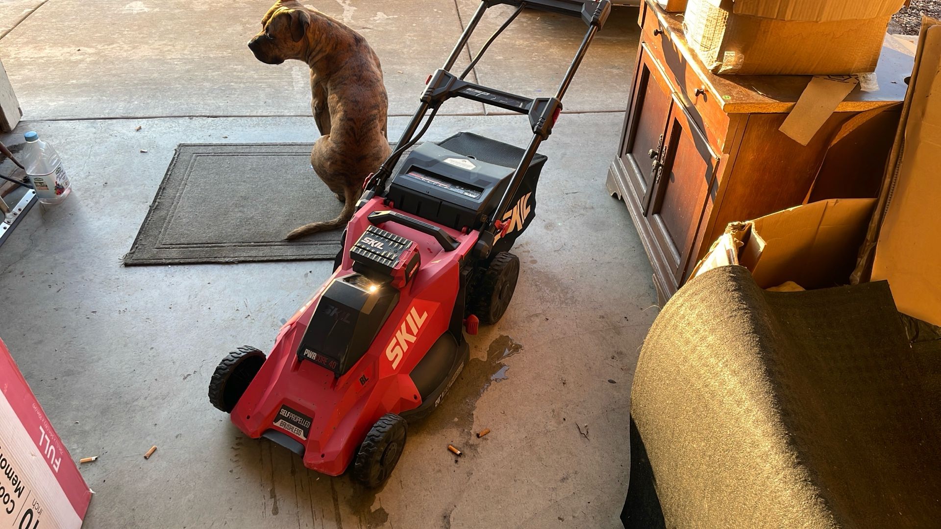 Skil Electric Lawnmower