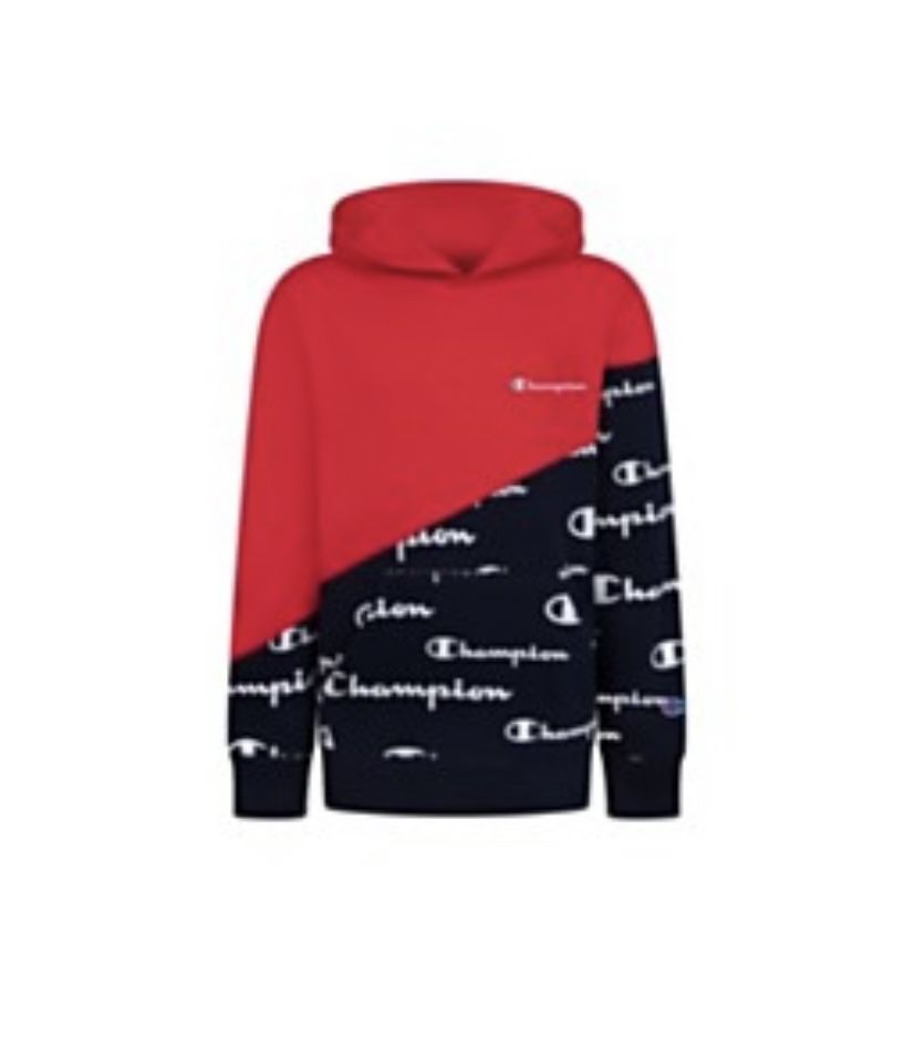 Boys Champion Fleece Hoodie