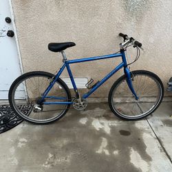 Vintage Specialized Hard Rock GX Bike 20” Frame 