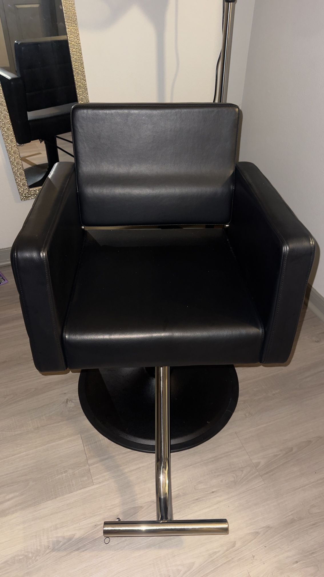 Salon Chair