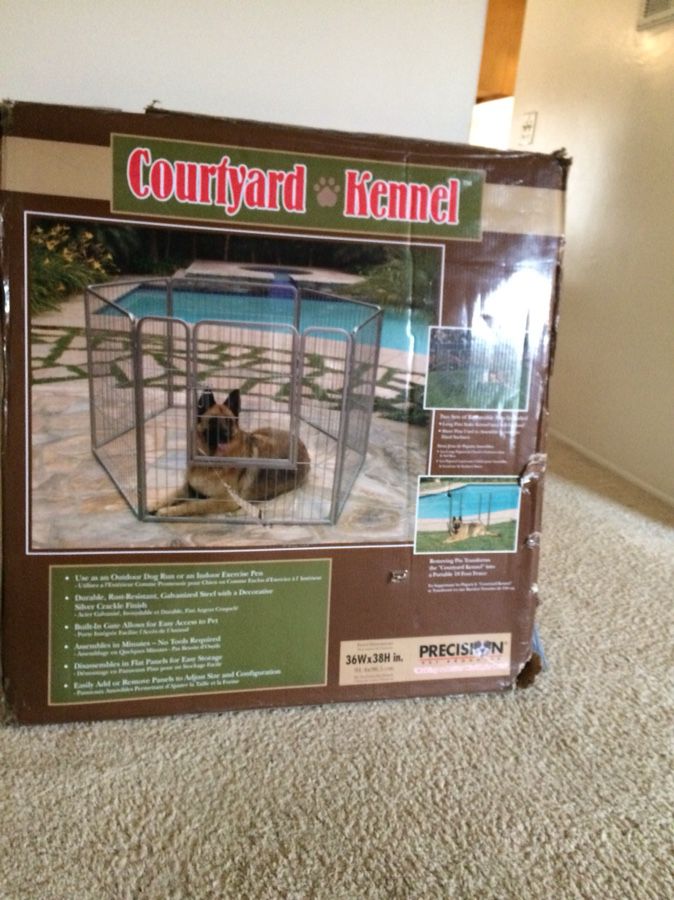 Courtyard dog kennel