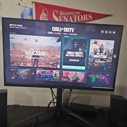 Gaming Monitor (Asus)
