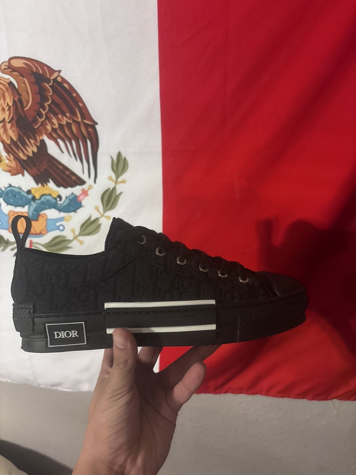 Dior B23