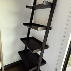 Leaning Ladder Bookshelf